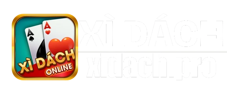 xidach.pro
